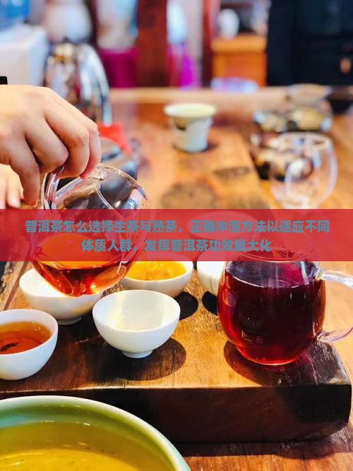 普洱茶怎么喝最适合人群