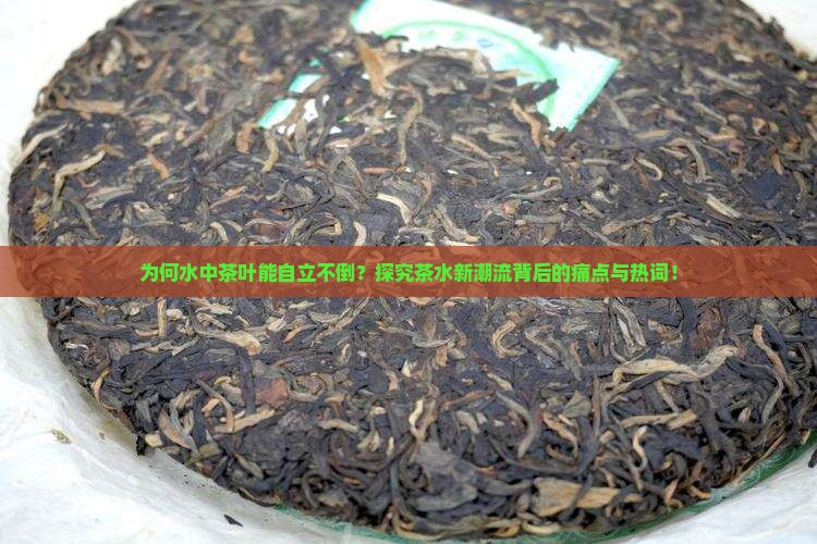 在水里立起来的茶叶