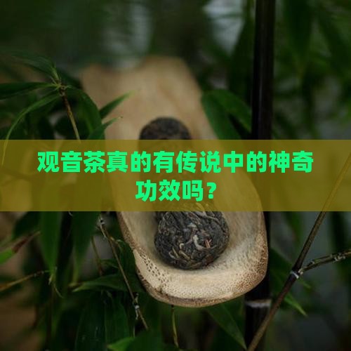 观音茶的功效与作用