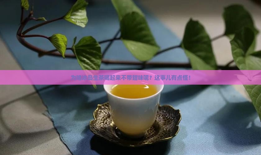 冰岛生茶为何不甜呢