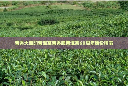 普秀大蓝印普洱茶