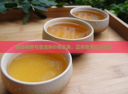 网购杨普号普洱茶