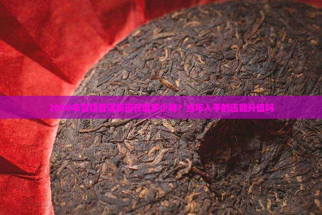 宫廷普洱茶价格2000年