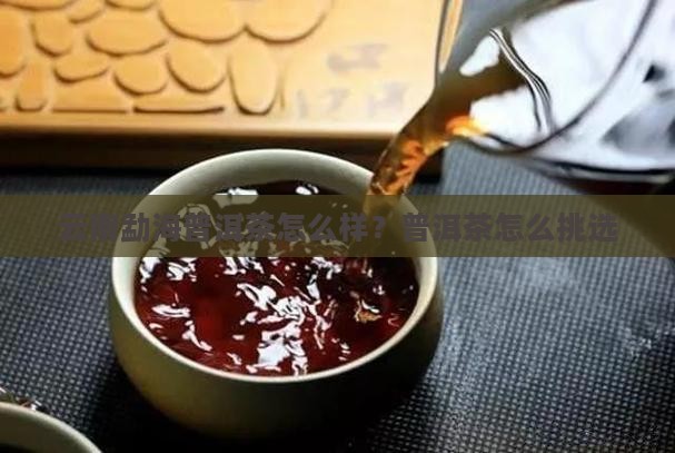 勐海提古普洱茶怎么样