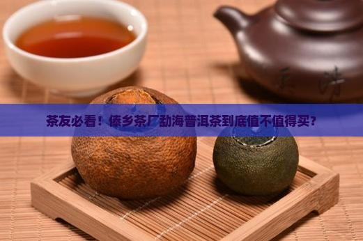 傣乡茶厂勐海普洱茶