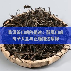 普洱茶口感的描述