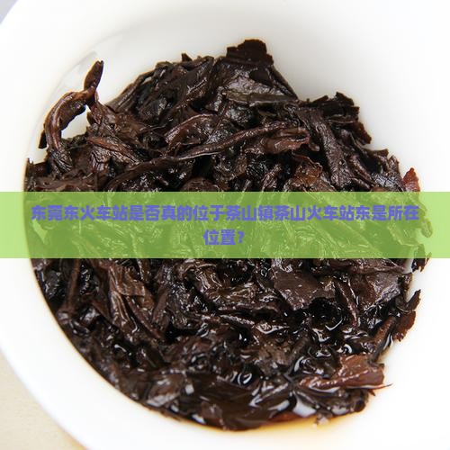 东莞东是不是在茶山