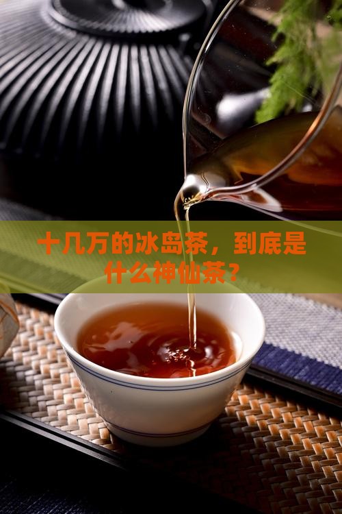 冰岛茶价格十几万