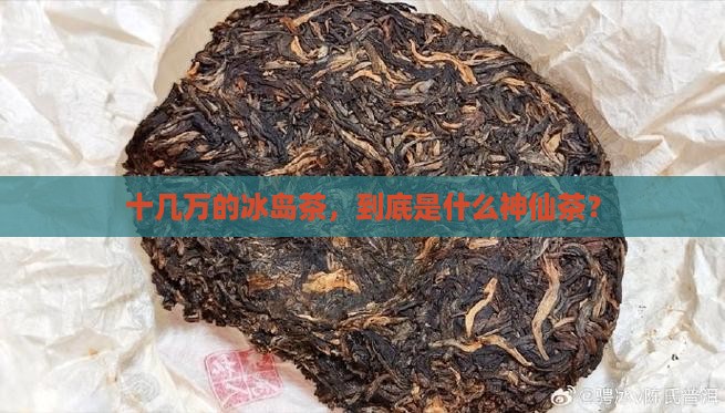 冰岛茶价格十几万