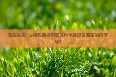 如何看普洱茶发霉