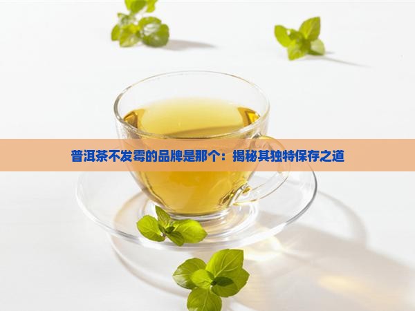 普洱茶不发霉的品牌是那个