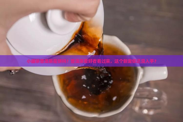 小罐茶普洱茶是饼吗