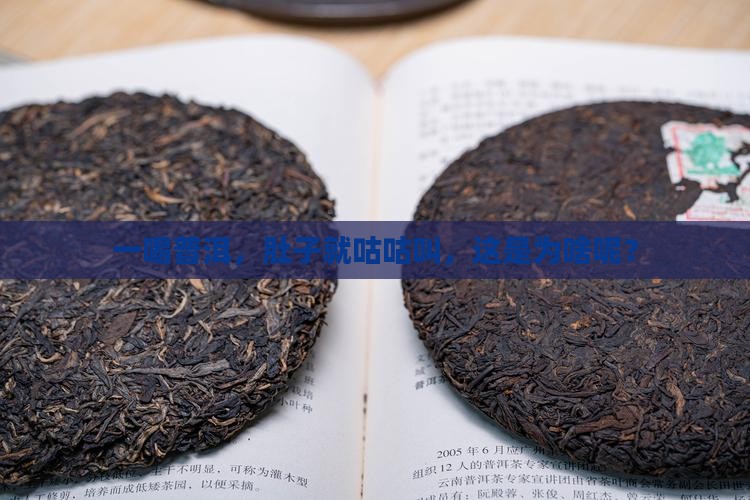 普洱茶喝了就饿