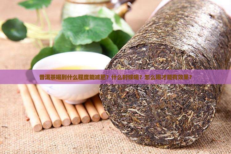 普洱茶喝到什么程度能减肥