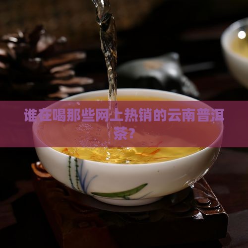 谁知道网上卖的云南普洱茶