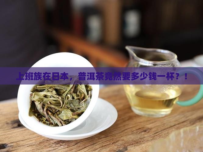 普洱茶在日本的价格