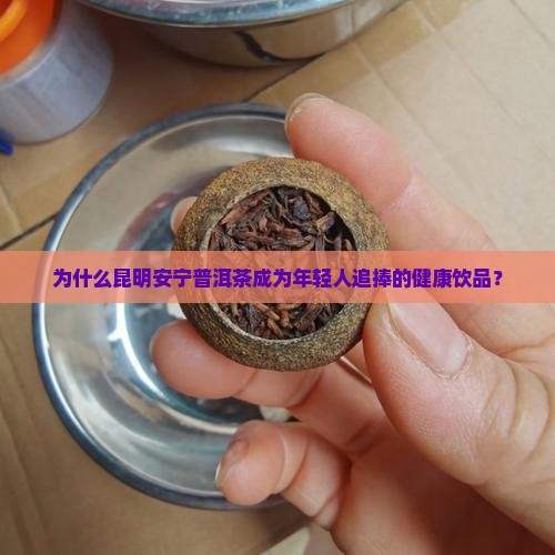 昆明安宁普洱茶