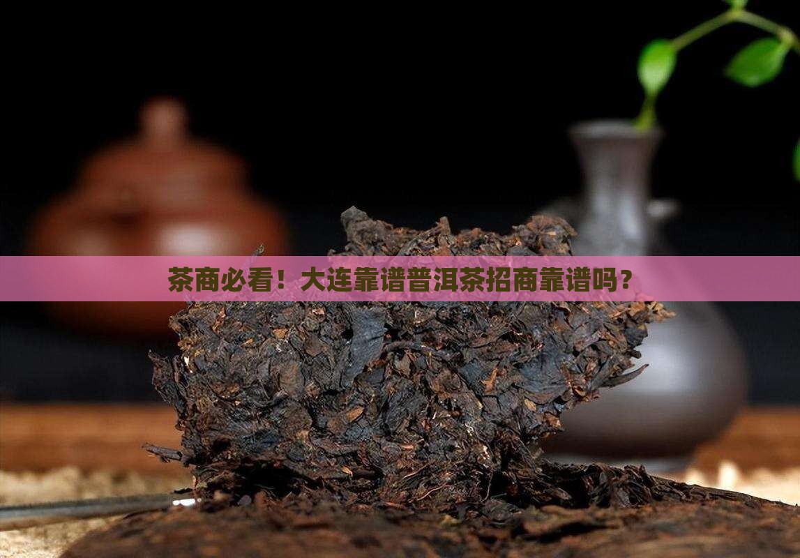 大连靠谱普洱茶招商