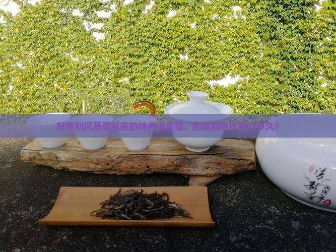 刮风寨普洱茶可以放多久
