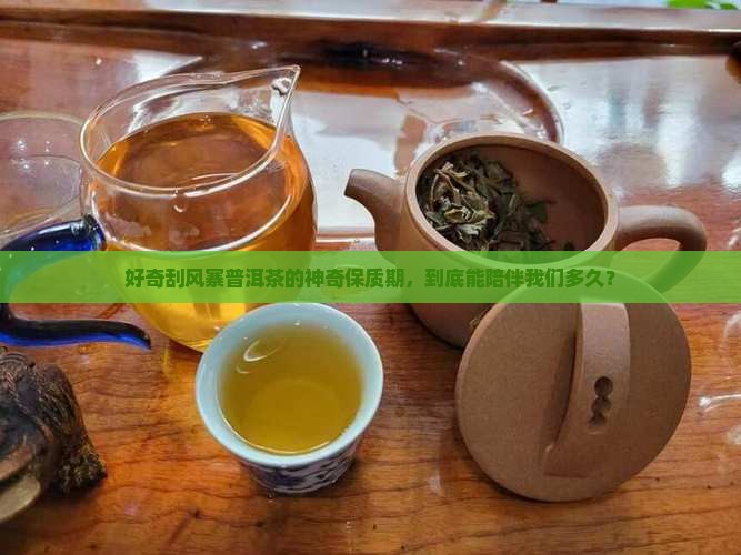 刮风寨普洱茶可以放多久