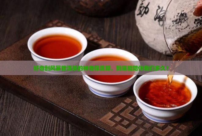 刮风寨普洱茶可以放多久