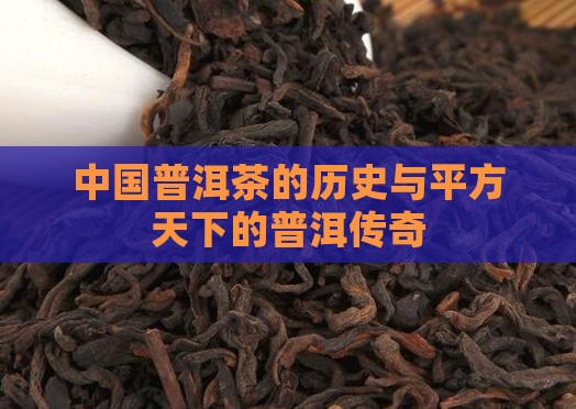 平方天下普洱茶 平方天下普洱茶