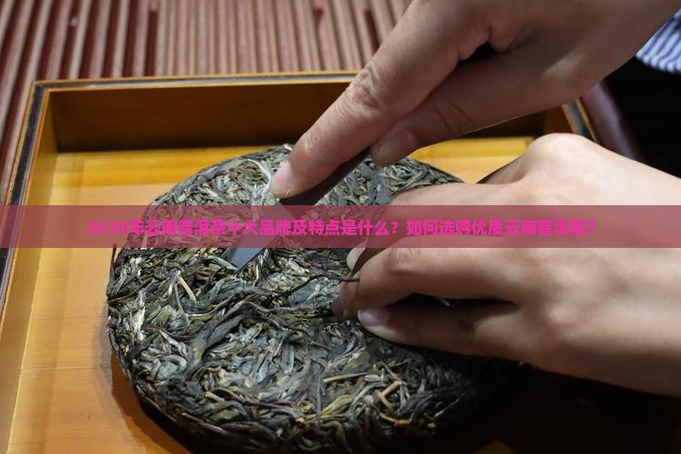 云南2020普洱茶10大