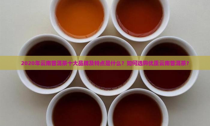 云南2020普洱茶10大
