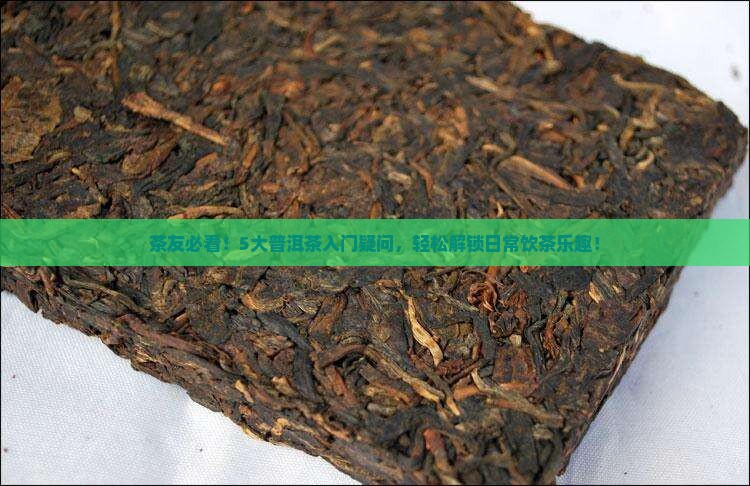 中国普洱茶大全