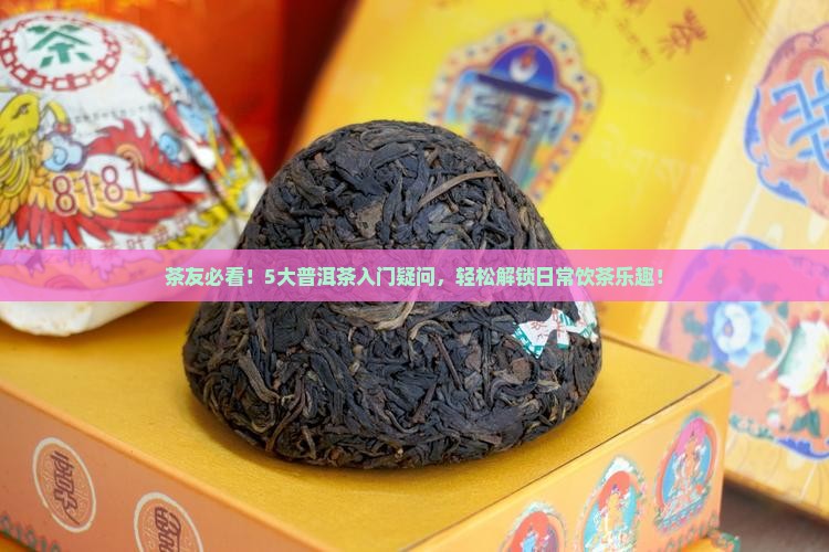 中国普洱茶大全