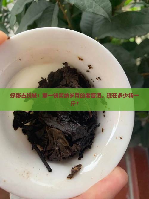 古玩城陈年老普洱茶价格