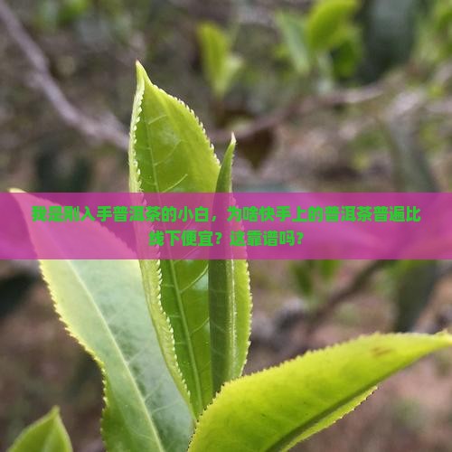 普洱茶为什么快手卖的便宜 普洱茶为什么快手卖的便宜
