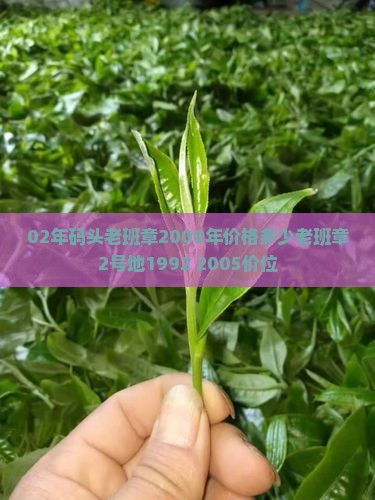 02年码头老班章