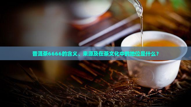 普洱茶6666是什么意思
