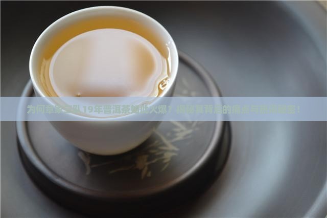 章家三队普洱茶19年