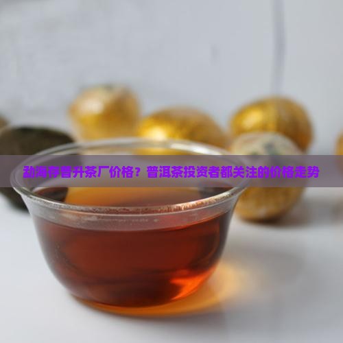 勐海存普升茶厂价格