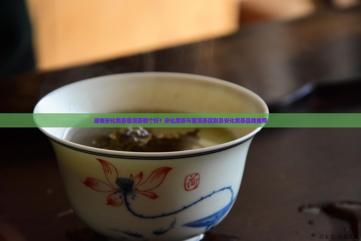 湖南安化黑茶普洱茶哪个好