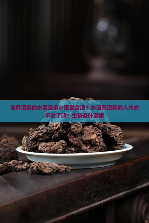 泡普洱水温多少度最合适