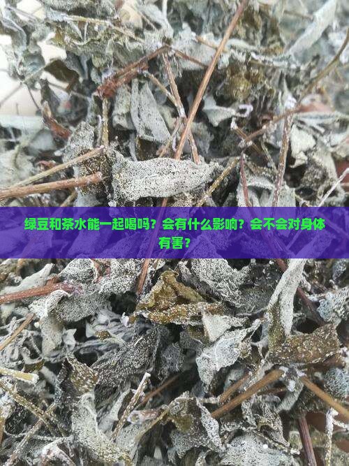 绿豆和茶水能一起喝吗