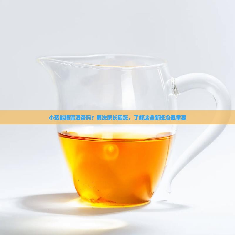 普洱茶小孩喝茶