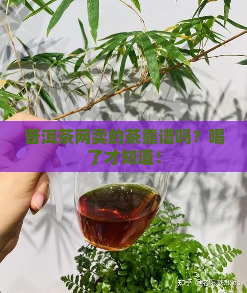 普洱茶网的茶是正品吗