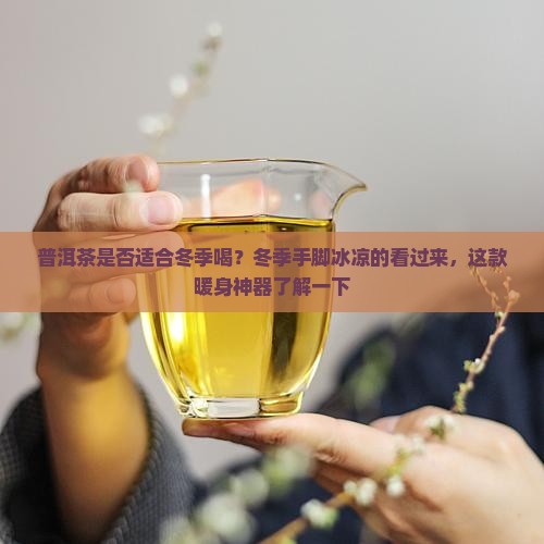 普洱茶是否适合冬季喝