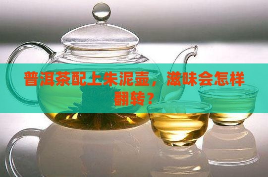 朱泥壶能泡普洱茶吗