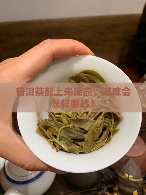 朱泥壶能泡普洱茶吗