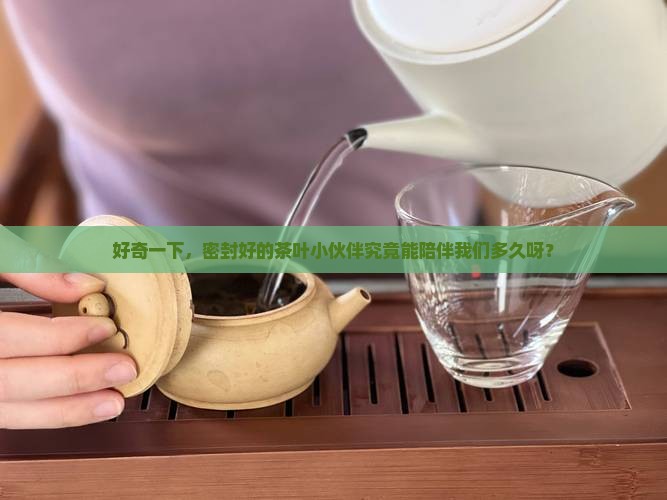 包装完好的茶叶玩能放多久