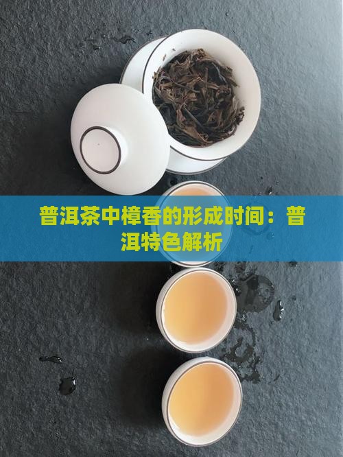 普洱茶多久才出樟香