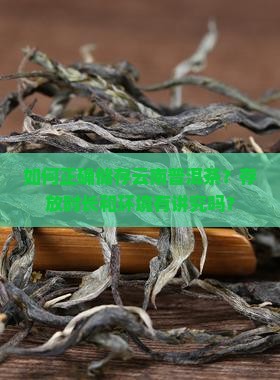 云南普洱茶储存方式