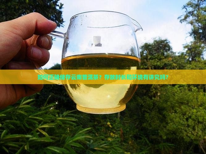云南普洱茶储存方式