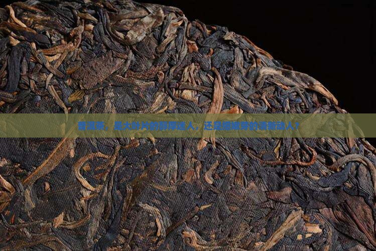 普洱茶大叶好还是细的好 普洱茶大叶好还是细的好