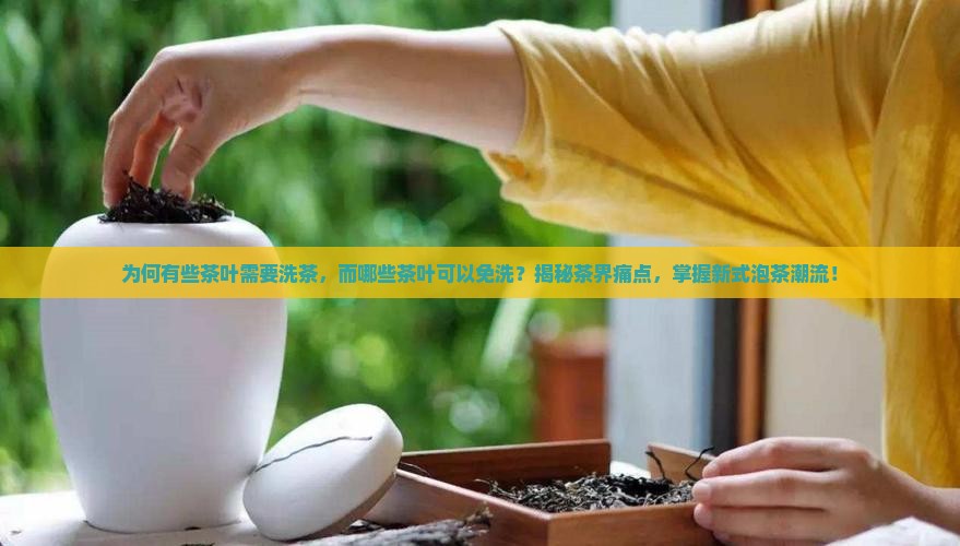 哪些茶需要洗哪些茶不需要洗